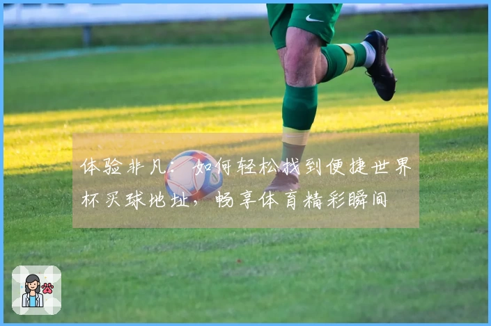 体验非凡：如何轻松找到便捷世界杯买球地址，畅享体育精彩瞬间