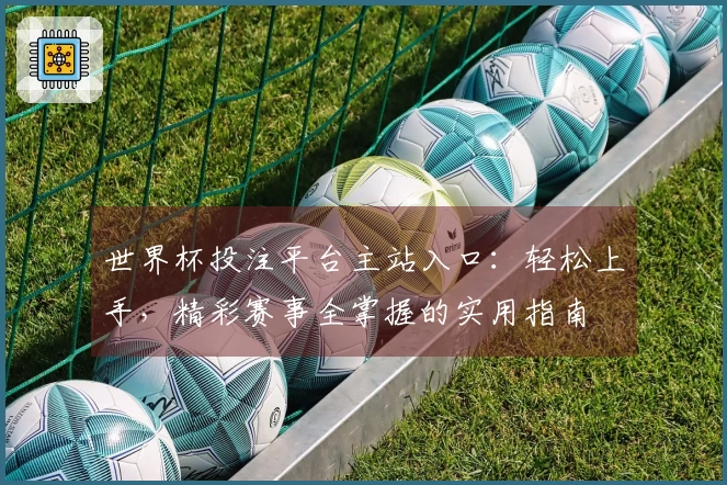 世界杯投注平台主站入口：轻松上手，精彩赛事全掌握的实用指南