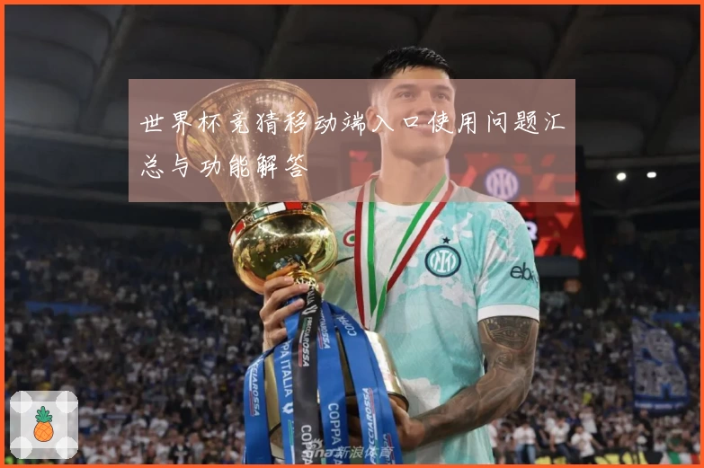 世界杯竞猜移动端入口使用问题汇总与功能解答