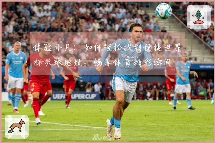 体验非凡：如何轻松找到便捷世界杯买球地址，畅享体育精彩瞬间