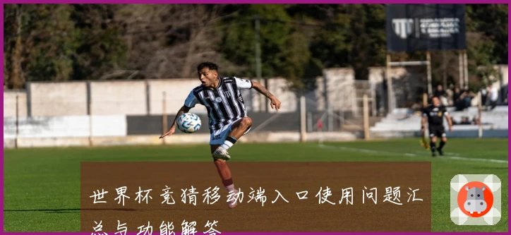世界杯竞猜移动端入口使用问题汇总与功能解答